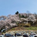 남산그린슈퍼 이미지