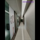 로제피부과의원중앙점 이미지