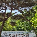 도당제2 | 도래울도당제 다녀온 후기