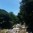 배나무펜션 이미지