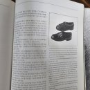 브랑누아주