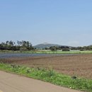 상모리-1 이미지