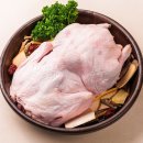 청년오리