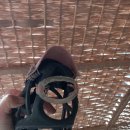 수선동물병원 이미지