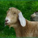 동대문한의원 이미지