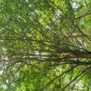 호근목장 이미지