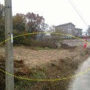 보체초등학교 이미지