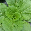 무지개횟집 이미지