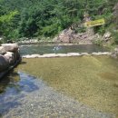 화원자연휴양림 이미지