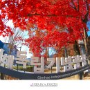 연지공원(조각공원) 이미지