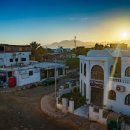 쿨펫동물병원 이미지