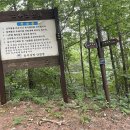 노추산등산로(중동입구) | 정선 노추산-아리랑산(중동 코스)