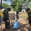 푸른손