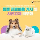 광진동물병원 이미지