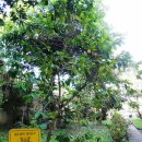 순서농장 이미지