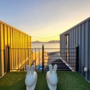 온실속베니 이미지