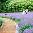 청천마을회관 이미지