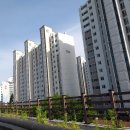 김안정 묘 및 출토묘비 이미지