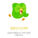 까치호프포차 | 뒤죽박죽 우당탕탕 후와후와(?)
