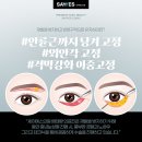 세이예스의원