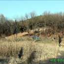 정지운선생묘 이미지