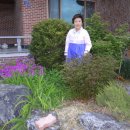 진흥상회 이미지