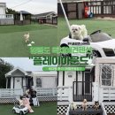 602 | 영종도 애견독채펜션 &#34;플레이하운드&#34; 602동 내돈내산 후기 (+애견운동장)