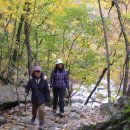 선녀탕집 이미지