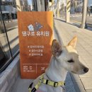 댕구르 이미지