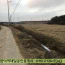 합덕인더스파크 Daum카페