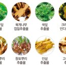 셀엠에스엠 이미지