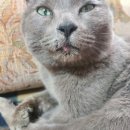 아람 동물병원 이미지