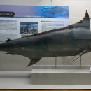 부산해양자연사박물관 이미지