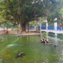 구룡공원 화장실 이미지