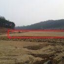 당진시 교동길 이미지