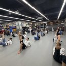 국가대표 효 태권도 이미지