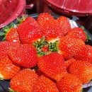 과일사랑 - 파주시 월롱산로 38 | 과일사랑
