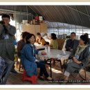 꽃뱅이정원 이미지