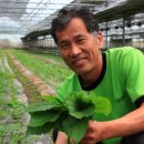 희망을일구는여성농민 영농조합법인 이미지