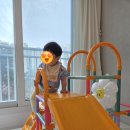 끌레오 | 🌈 아기 에너지 폭발! 끌레오 정글짐 미끄럼틀 솔직 후기 (찐 효자템 인정✨)