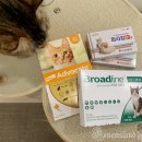 백마온누리약국 이미지