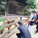 [가창 가볼만한 곳]네이처파크 주말 방문 후기