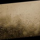 장원손두부 | 홍천 맛집 5선, 광고 아님 현지인이 진짜 가는 곳만 솔직 후기