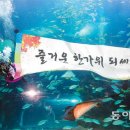 잠수부닷컴 이미지