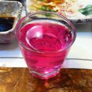 참치애(愛) 티스토리