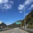 고성 명파해변 오토캠핑장 후기｜애견동반 가능, 바다 전망 감성 캠핑장