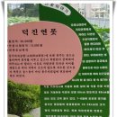 하계휴가[대천해수욕장,전주 덕진공원,비빔밥. 덕유산 토옥동 계곡] 이미지