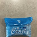 (주)카프로 | 다이소쿨스카프 쓰다가 아이스쿨릿으로 바꾼 이유
