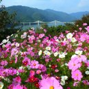 병무농장 이미지