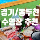 삼육사로18 | [경기/동두천] 서울근교 당일치기여행, 평상에서 취사 가능한 &#39;죠스글램핑 수영장&#39; 내돈내산 후기